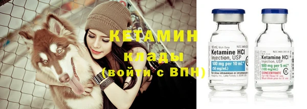 индика Бородино