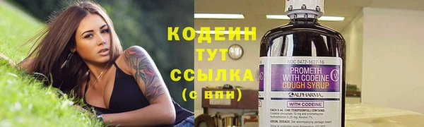 индика Бородино