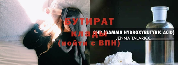 индика Бородино