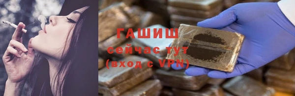 индика Бородино