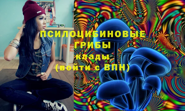 кокс Бугульма