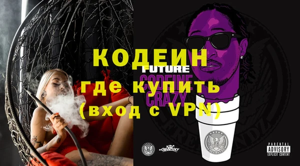 индика Бородино