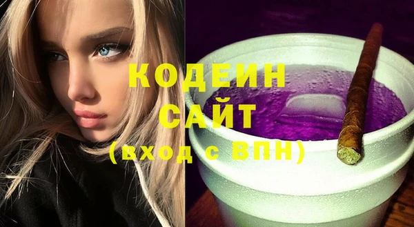 индика Бородино