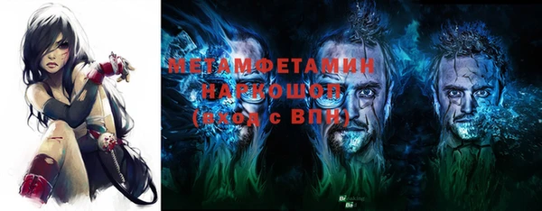 индика Бородино