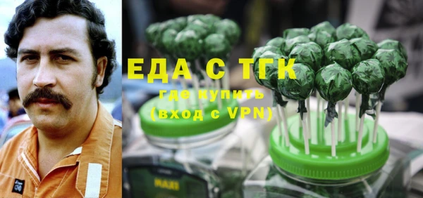 индика Бородино