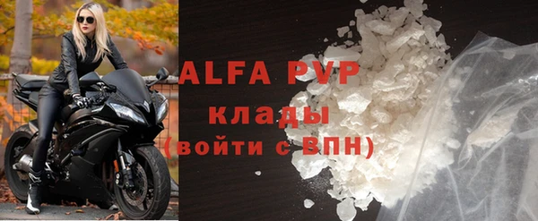 индика Бородино