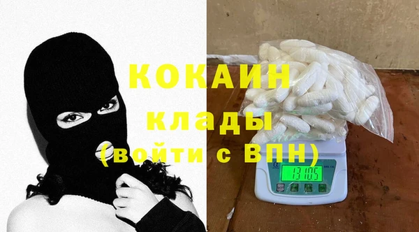индика Бородино