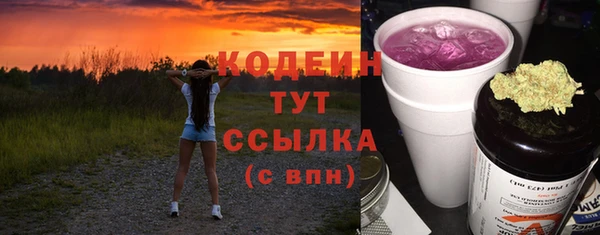 индика Бородино